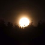 DSCN9065