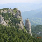DSCN9279