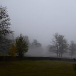 DSC_0549