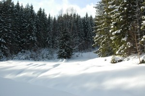 DSC_1956