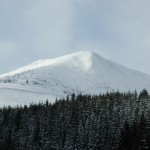 DSC_1959