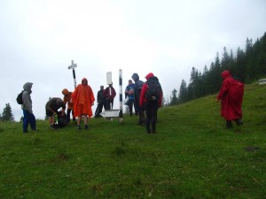 Ecologizre grup