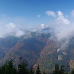 IMGP5125