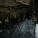 IMGP5442