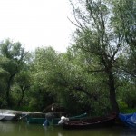 IMG_0669