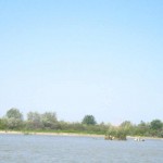 IMG_0689