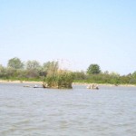 IMG_0693
