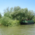 IMG_0695
