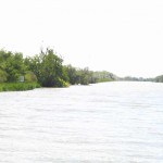 IMG_0712
