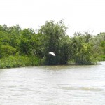 IMG_0716
