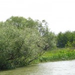 IMG_0718