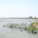 IMG_0744