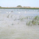 IMG_0745