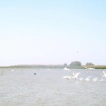 IMG_0746