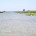 IMG_0750