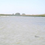 IMG_0753