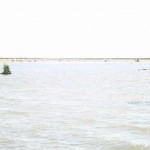 IMG_0759