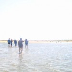 IMG_0767