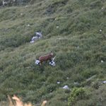 IMG_1579