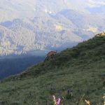 IMG_1585