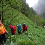 IMG_20210618_150908_980