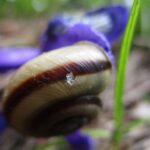 IMG_3944