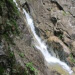 IMG_4079