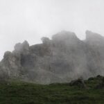 IMG_4355