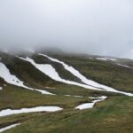IMG_4424