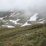 IMG_4550