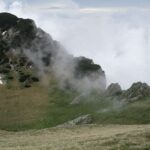 IMG_4639