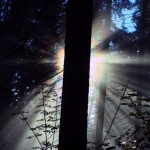 IMG_4906