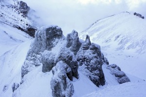 IMG_5511