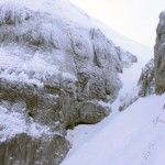IMG_5529