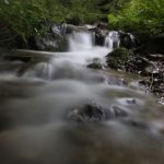 IMG_8562