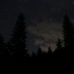 IMG_8591