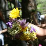 IMG_9051