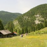 IMG_9074