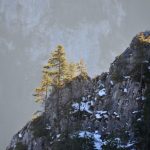 Image00211