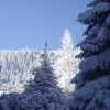 a_3_20110209_1456359913