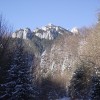 a_4_20110202_1521160089