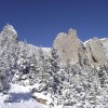 a_5_20110209_1222333872