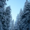 a_6_20110202_1407361974