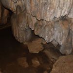 apuseni(14)