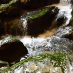 apuseni(37)