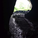 apuseni(4)