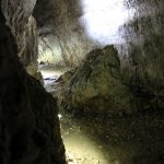 apuseni(77)