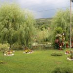 apuseni(99)