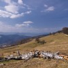 b10_20110411_2032665468