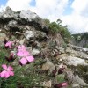 bate_toaca_34_20131008_1477117780
